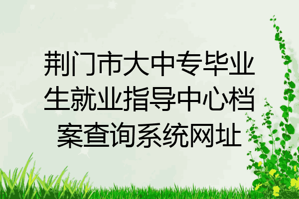 荆门市大中专毕业生就业指导中心档案查询系统网址