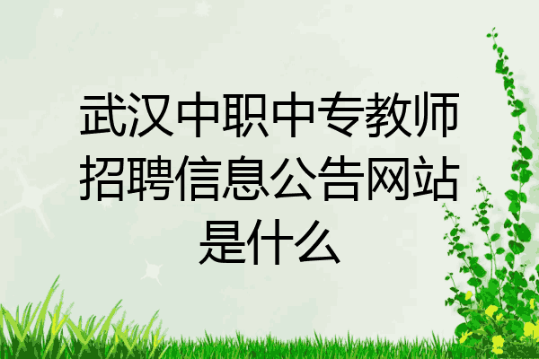 武汉中职中专教师招聘信息公告网站是什么