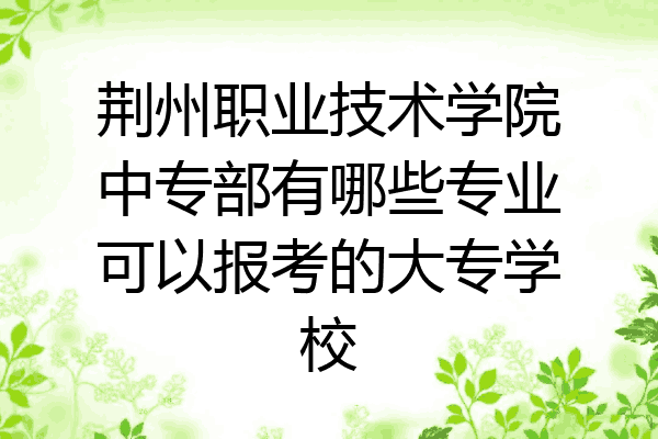 荆州职业技术学院中专部有哪些专业可以报考的大专学校