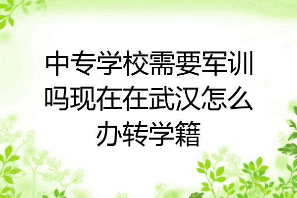 中专学校需要军训吗现在在武汉怎么办转学籍