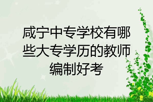 咸宁中专学校有哪些大专学历的教师编制好考