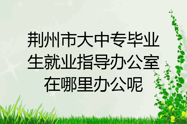 荆州市大中专毕业生就业指导办公室在哪里办公呢