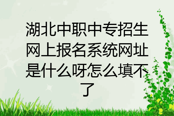湖北中职中专招生网上报名系统网址是什么呀怎么填不了