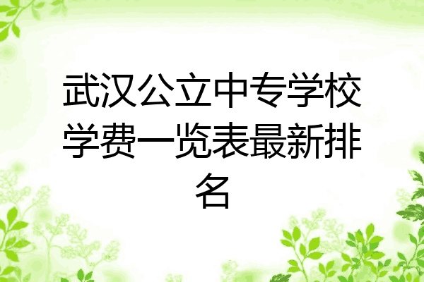 武汉公立中专学校学费一览表最新排名