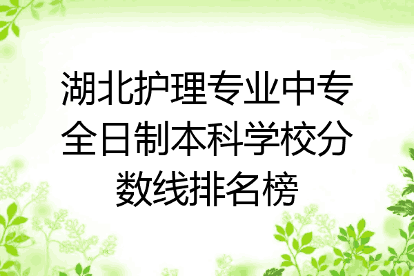 湖北护理专业中专全日制本科学校分数线排名榜
