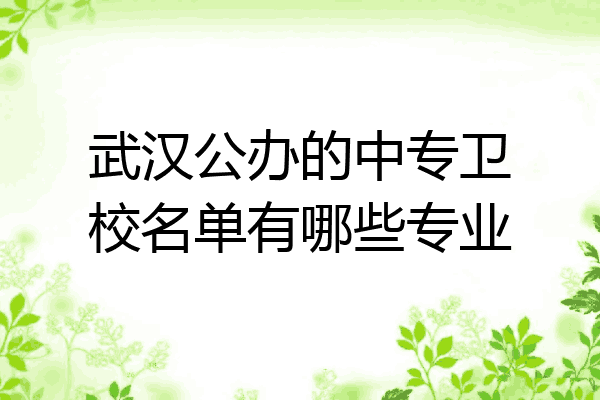 武汉公办的中专卫校名单有哪些专业