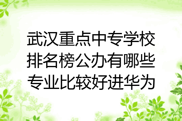 武汉重点中专学校排名榜公办有哪些专业比较好进华为