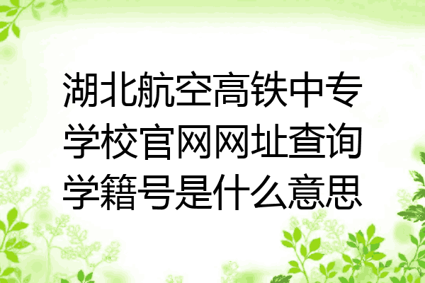 湖北航空高铁中专学校官网网址查询学籍号是什么意思