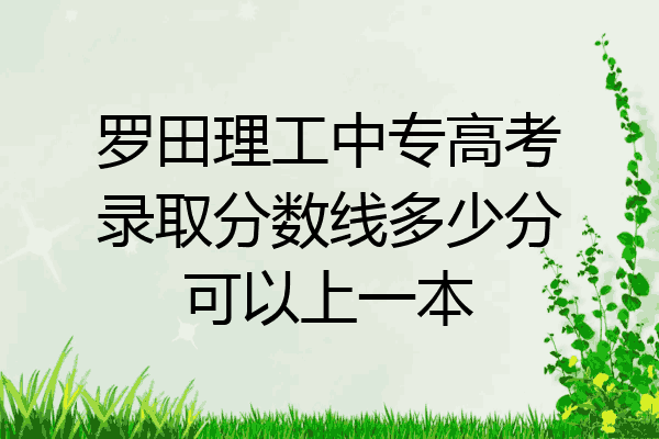 罗田理工中专高考录取分数线多少分可以上一本