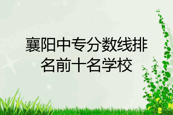 襄阳中专分数线排名前十名学校