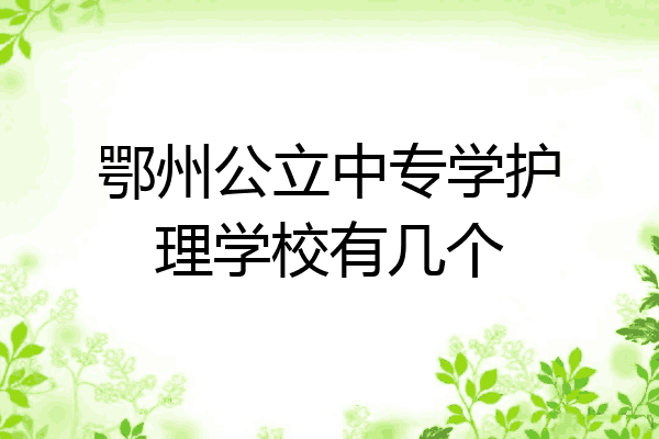 鄂州公立中专学护理学校有几个