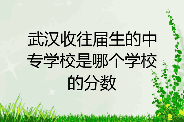 武汉收往届生的中专学校是哪个学校的分数