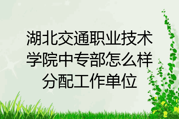 湖北交通职业技术学院中专部怎么样分配工作单位