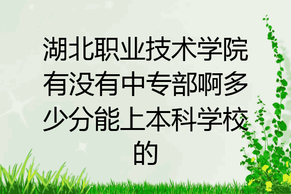 湖北职业技术学院有没有中专部啊多少分能上本科学校的