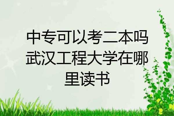 中专可以考二本吗武汉工程大学在哪里读书