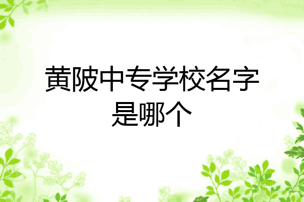黄陂中专学校名字是哪个
