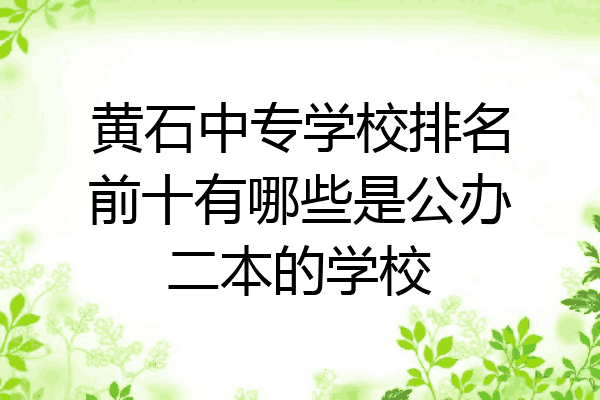 黄石中专学校排名前十有哪些是公办二本的学校
