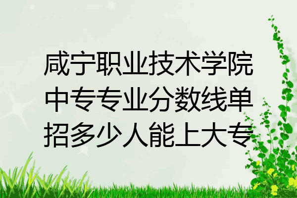咸宁职业技术学院中专专业分数线单招多少人能上大专