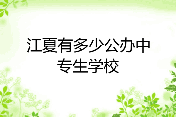 江夏有多少公办中专生学校