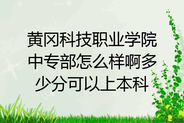 黄冈科技职业学院中专部怎么样啊多少分可以上本科