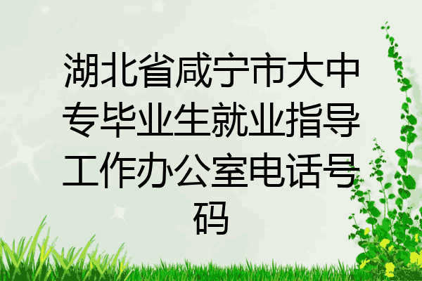 湖北省咸宁市大中专毕业生就业指导工作办公室电话号码