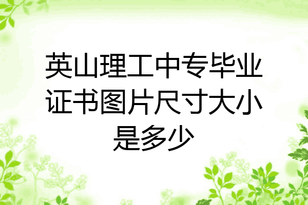 英山理工中专毕业证书图片尺寸大小是多少