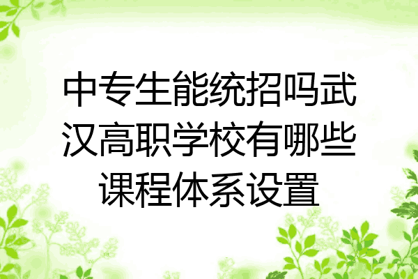 中专生能统招吗武汉高职学校有哪些课程体系设置