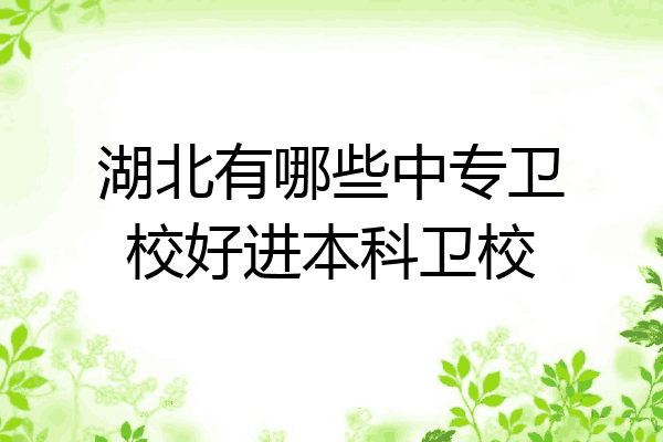 湖北有哪些中专卫校好进本科卫校