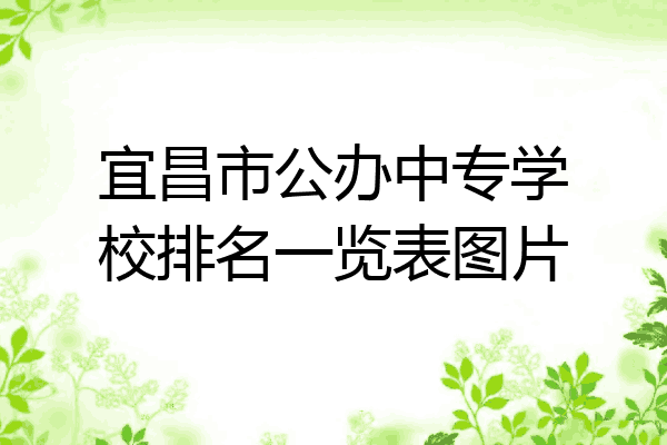 宜昌市公办中专学校排名一览表图片