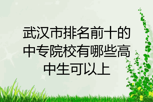 武汉市排名前十的中专院校有哪些高中生可以上