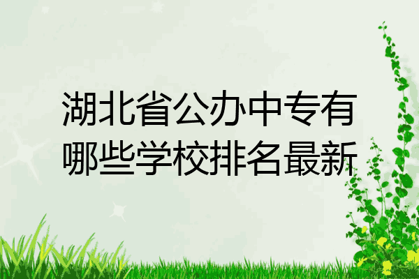 湖北省公办中专有哪些学校排名最新