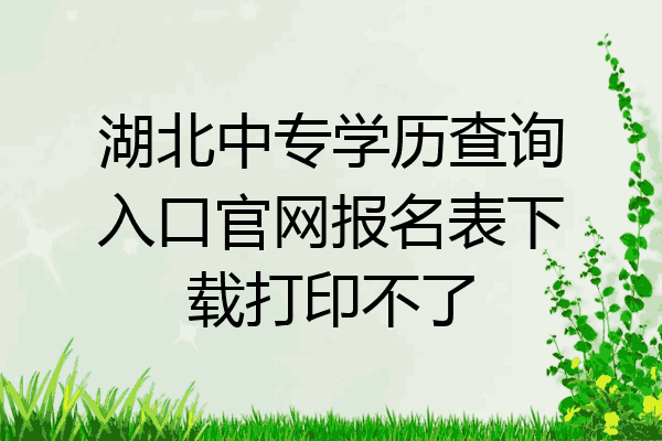 湖北中专学历查询入口官网报名表下载打印不了
