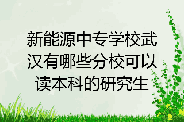 新能源中专学校武汉有哪些分校可以读本科的研究生