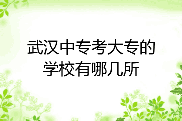 武汉中专考大专的学校有哪几所