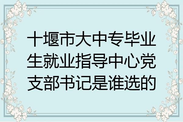 十堰市大中专毕业生就业指导中心党支部书记是谁选的