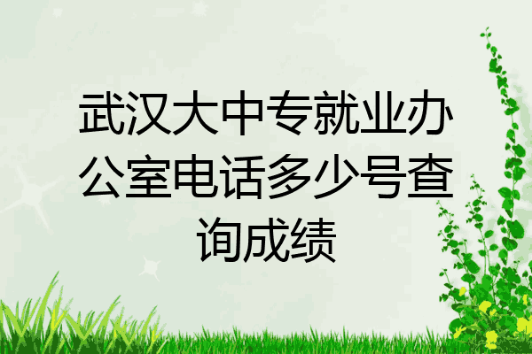武汉大中专就业办公室电话多少号查询成绩