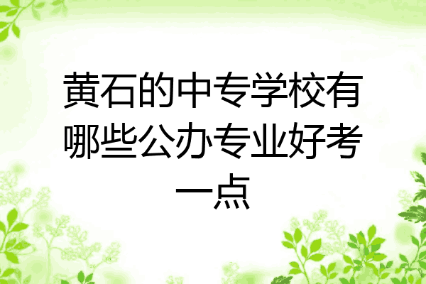 黄石的中专学校有哪些公办专业好考一点