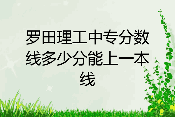 罗田理工中专分数线多少分能上一本线