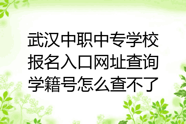 武汉中职中专学校报名入口网址查询学籍号怎么查不了