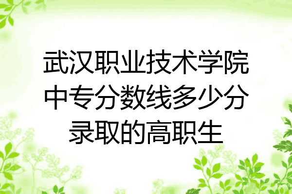 武汉职业技术学院中专分数线多少分录取的高职生