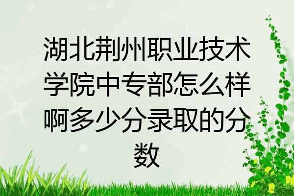 湖北荆州职业技术学院中专部怎么样啊多少分录取的分数