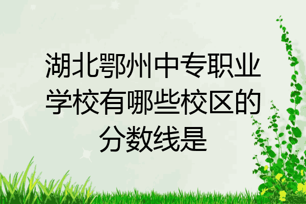 湖北鄂州中专职业学校有哪些校区的分数线是