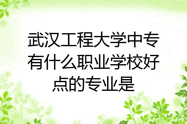 武汉工程大学中专有什么职业学校好点的专业是