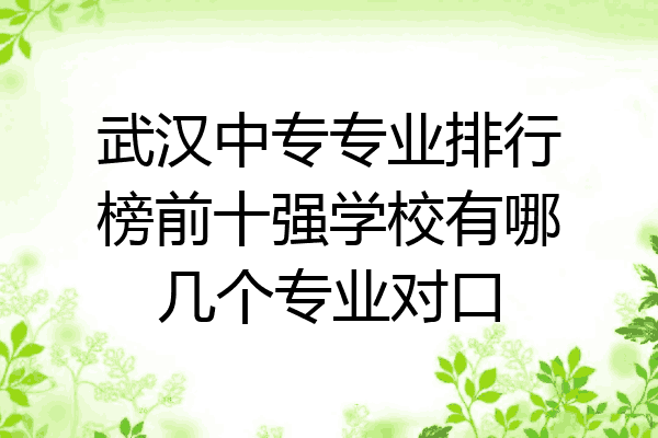 武汉中专专业排行榜前十强学校有哪几个专业对口