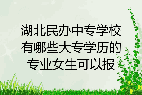 湖北民办中专学校有哪些大专学历的专业女生可以报
