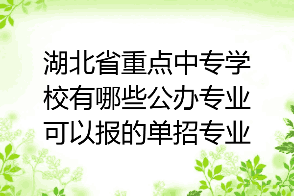 湖北省重点中专学校有哪些公办专业可以报的单招专业