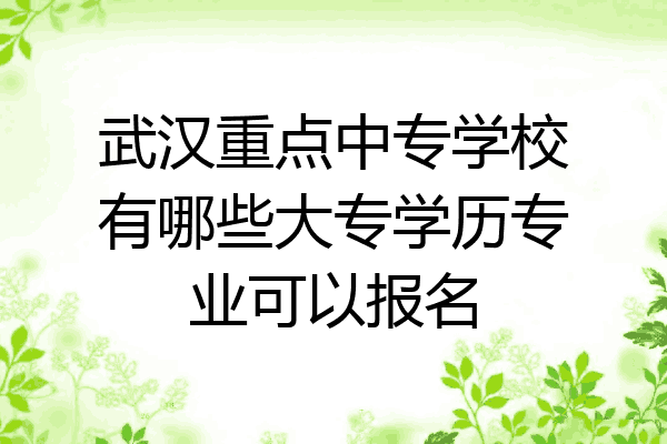 武汉重点中专学校有哪些大专学历专业可以报名
