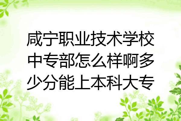 咸宁职业技术学校中专部怎么样啊多少分能上本科大专