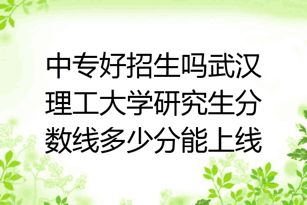 中专好招生吗武汉理工大学研究生分数线多少分能上线
