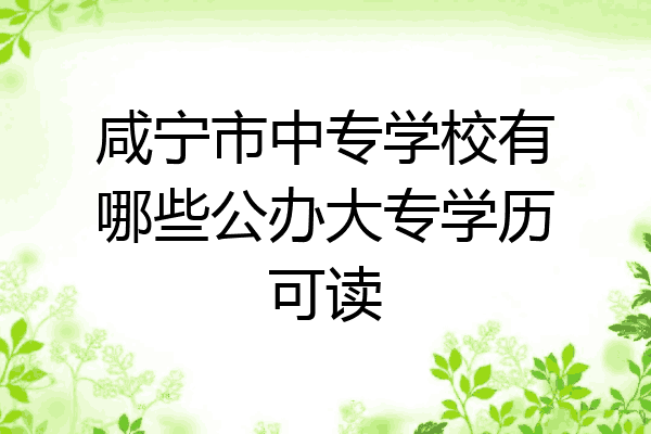 咸宁市中专学校有哪些公办大专学历可读